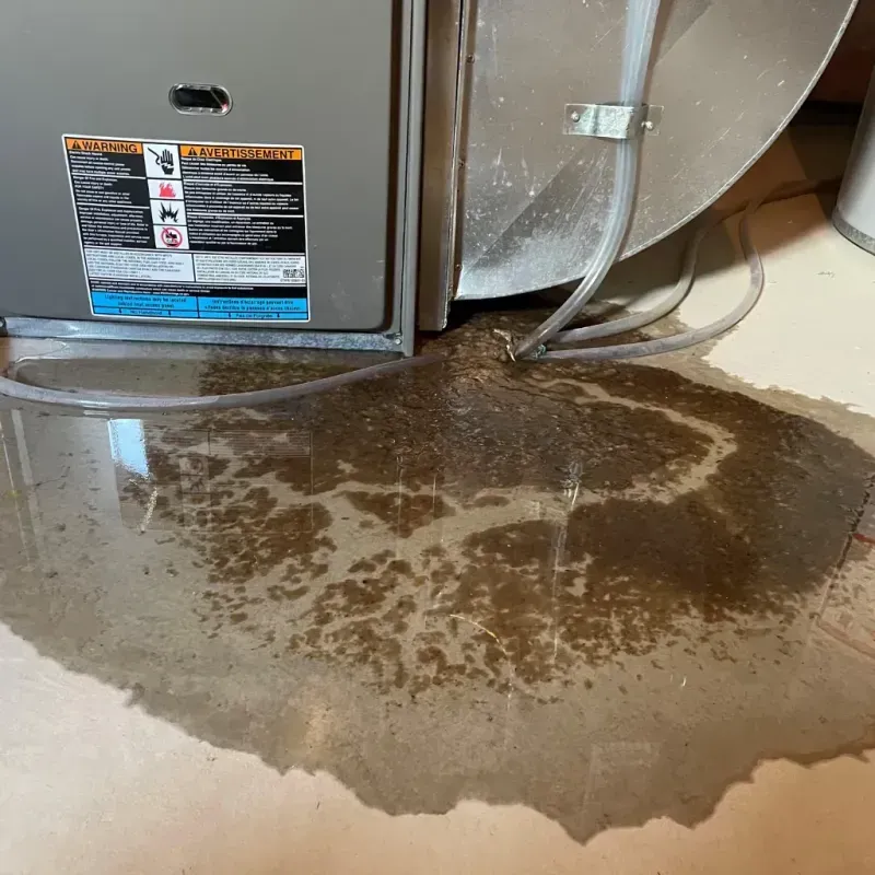 Appliance Leak Cleanup in Rosaryville, MD